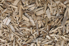 biomass boilers Chitterne